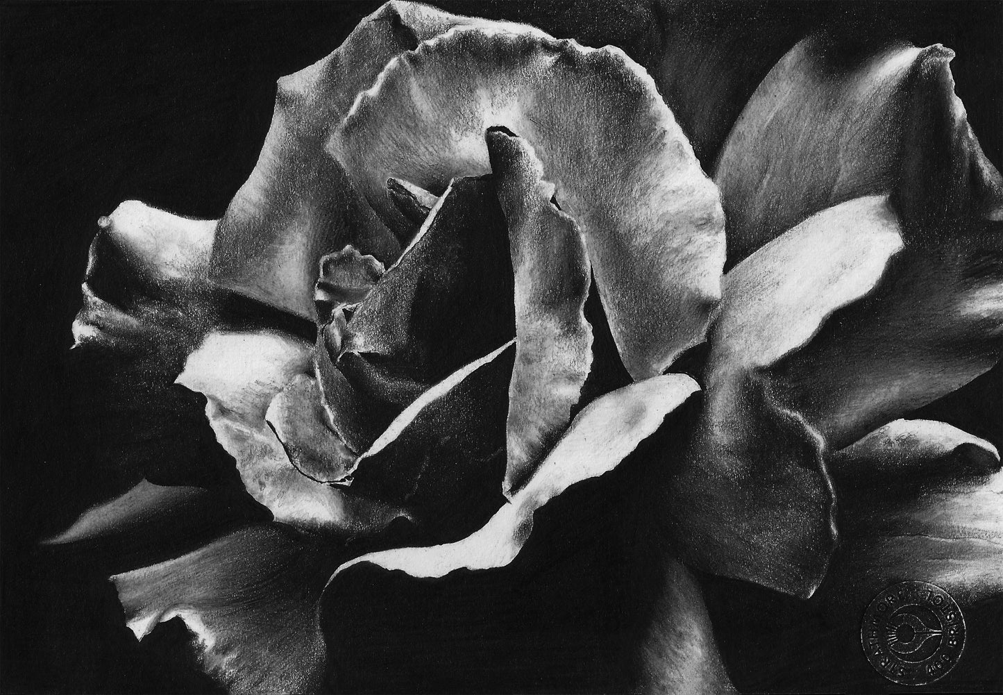 Rose Print - 8x10