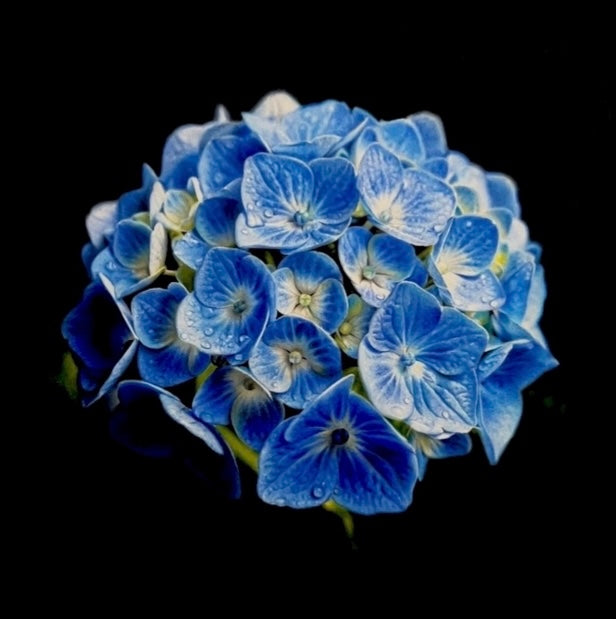 Once in a Blue Moon